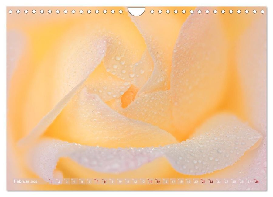 InsideView 7