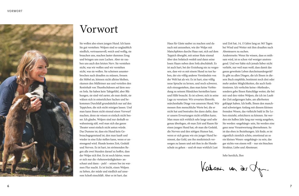 InsideView 2