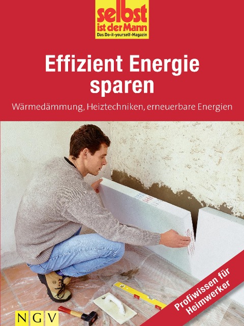 Effizient Energie sparen - Profiwissen für Heimwerker - 