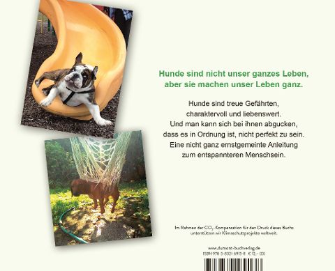 InsideView 8