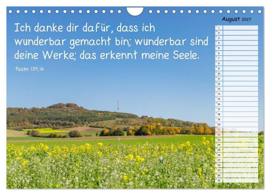 InsideView 13