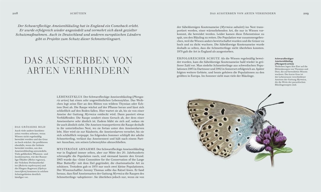 InsideView 7