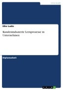 Kundeninduzierte Lernprozesse in Unternehmen - Elke Ludin