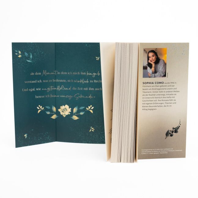 InsideView 5