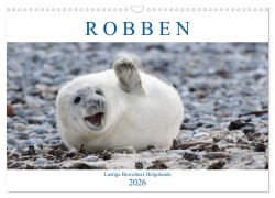 Robben - Lustige Bewohner Helgolands (Wandkalender 2026 DIN A3 quer), CALVENDO Monatskalender - Egid Orth