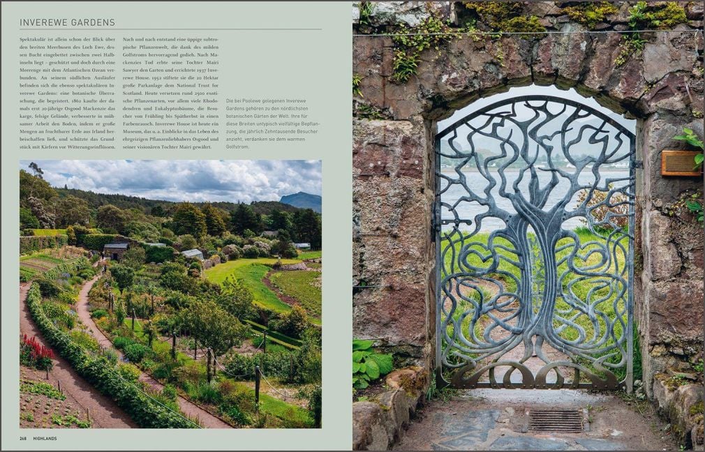InsideView 12