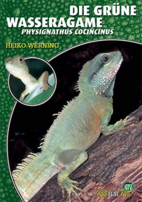 Die Grüne Wasseragame - Heiko Werning