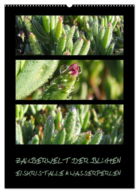 ZAUBERWELT DER BLUMEN - EISKRISTALLE & WASSERPERLEN (Wandkalender 2026 DIN A2 hoch), CALVENDO Monatskalender - Hinter-Dem-Horizont-Media. Net Tanja & Bernhard Kiesow