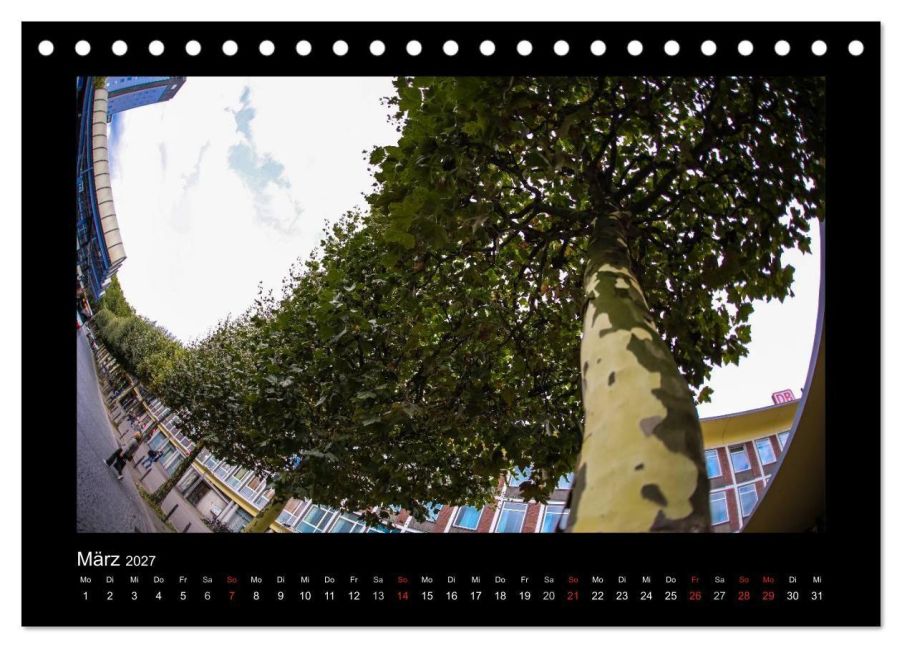 InsideView 8