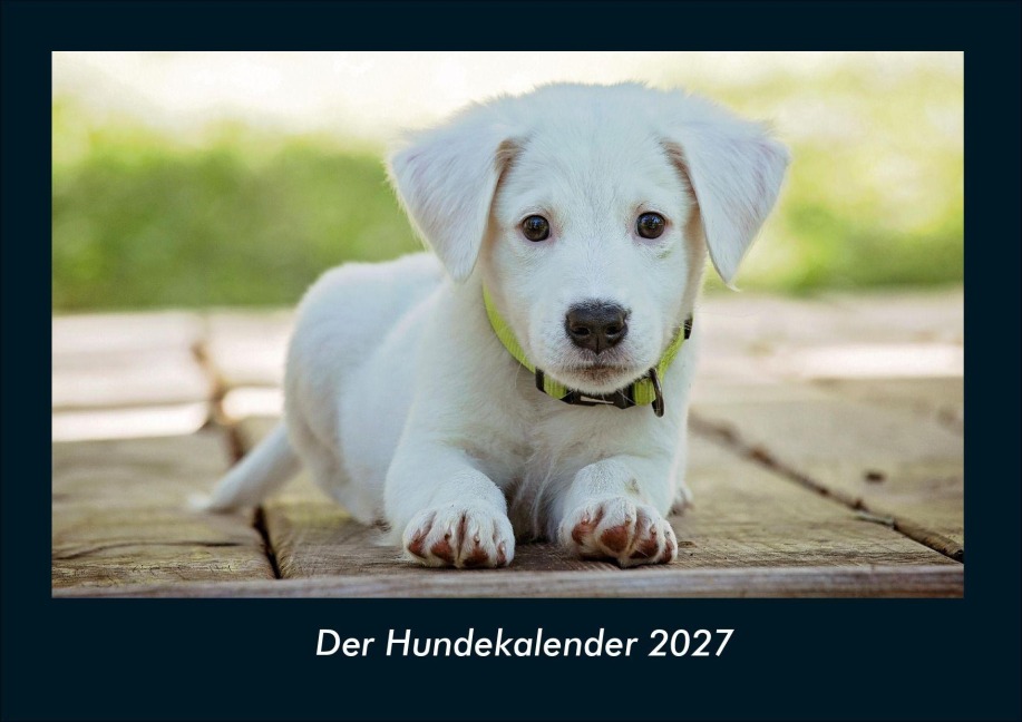 Der Hundekalender 2027 Fotokalender DIN A4 - Tobias Schmitt, Kevin Heber