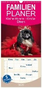 Familienplaner 2025 - Kleine Hunde - Große Diven mit 5 Spalten (Wandkalender, 21 x 45 cm) CALVENDO - Fotodesign Verena Scholze