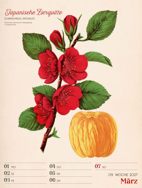 InsideView 13