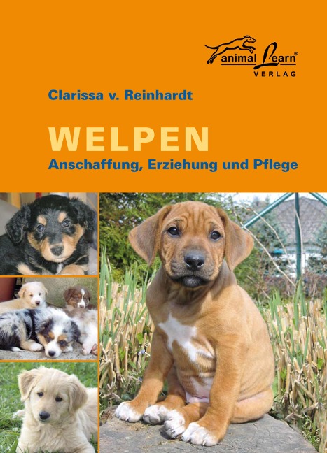 Welpen - Clarissa v. Reinhardt