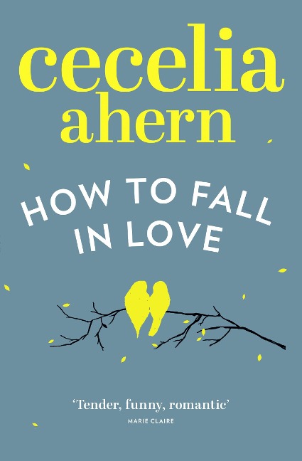 How to Fall in Love - Cecelia Ahern