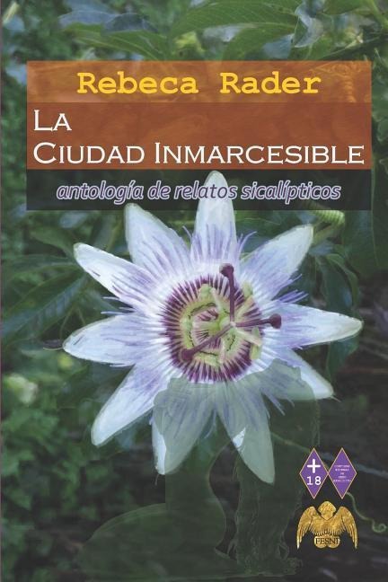 La Ciudad Inmarcesible - Rebeca Rader