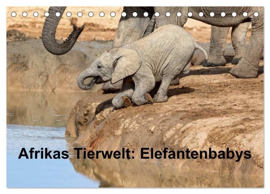 Afrikas Tierwelt: Elefantenbabys (Tischkalender 2027 DIN A5 quer), CALVENDO Monatskalender - Michael Voß