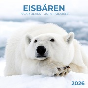 Eisbärchen/Polar Bears 2026 - 