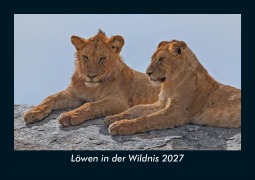 Cover-Bild zum Titel 'Löwen in der Wildnis 2027 Fotokalender DIN A5' von 'Tobias Schmitt, Kevin Heber'