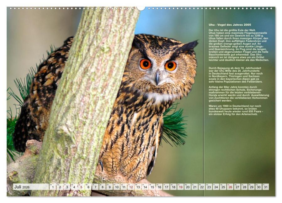 InsideView 11