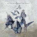 Cover-Bild zum Titel 'The Cost Of Dreaming' von 'White Moth Black Butterfly'