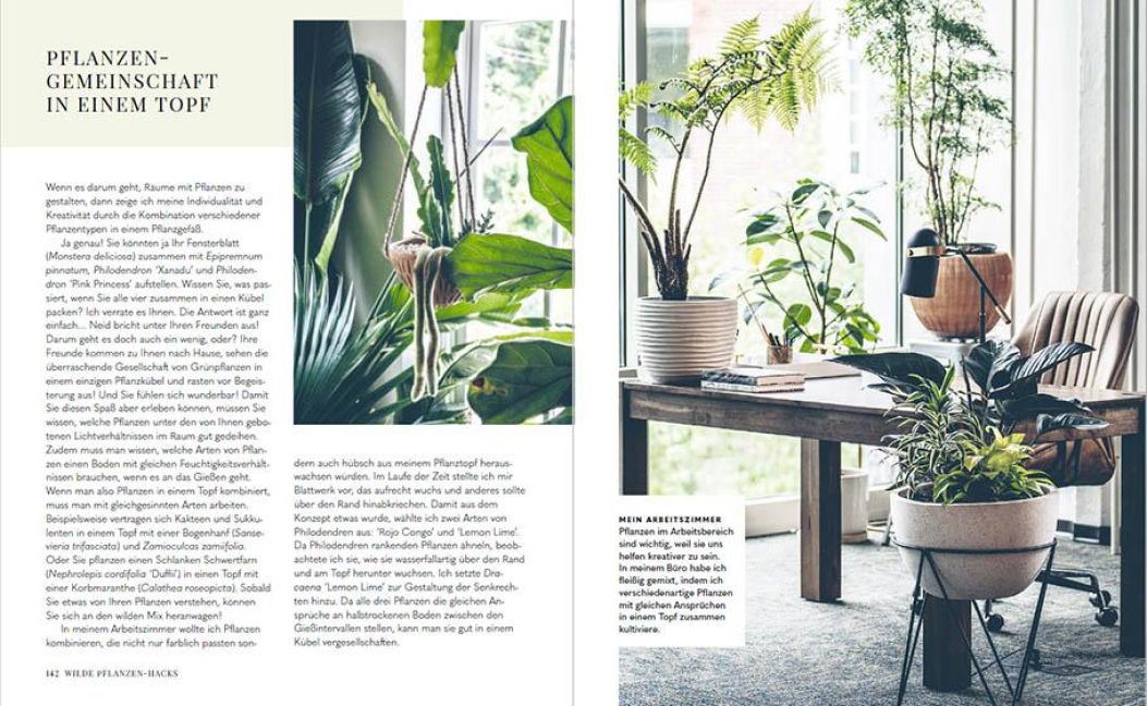 InsideView 7