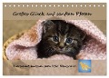 Tierschutzkatzen vom TSV-Neuss - Großes Glück auf sanften Pfoten (Tischkalender 2024 DIN A5 quer), CALVENDO Monatskalender - Jane B
