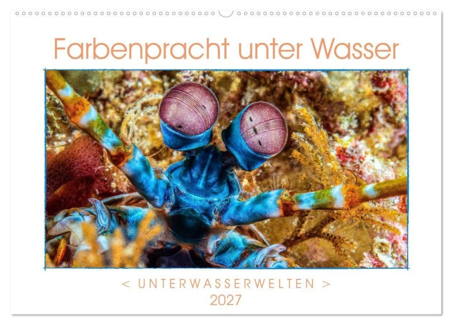 Farbenpracht unter Wasser (Wandkalender 2027 DIN A2 quer), CALVENDO Monatskalender - Dieter Gödecke