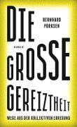 Die große Gereiztheit - Bernhard Pörksen