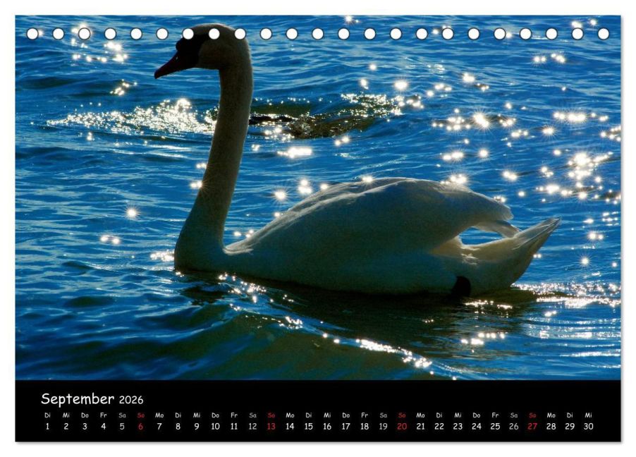 InsideView 14
