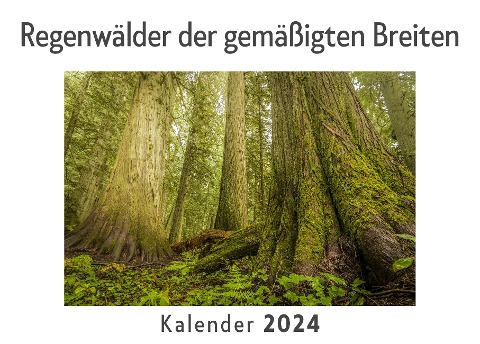 Regenwälder der gemäßigten Breiten (Wandkalender 2024, Kalender DIN A4 quer, Monatskalender im Querformat mit Kalendarium, Das perfekte Geschenk) - Anna Müller