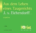 Cover-Bild zum Titel 'Aus dem Leben eines Taugenichts' von 'Joseph Von Eichendorff'