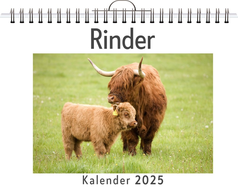 Rinder - (Wandkalender 2025, Kalender DIN A4 quer, Monatskalender im Querformat mit Kalendarium, das perfekte Geschenk) - Emily Hofmann