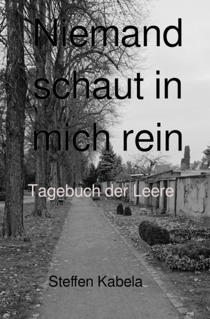 Niemand schaut in mich rein - Steffen Kabela