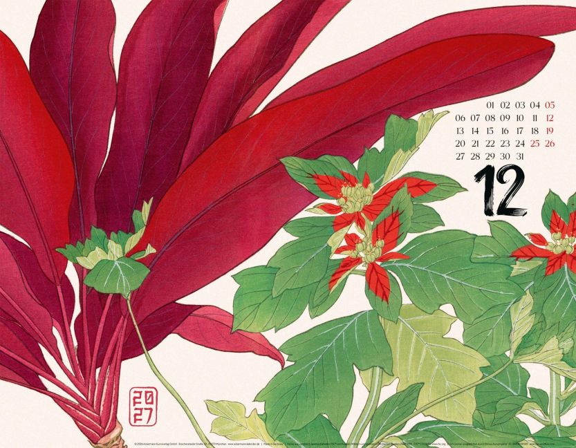 InsideView 12