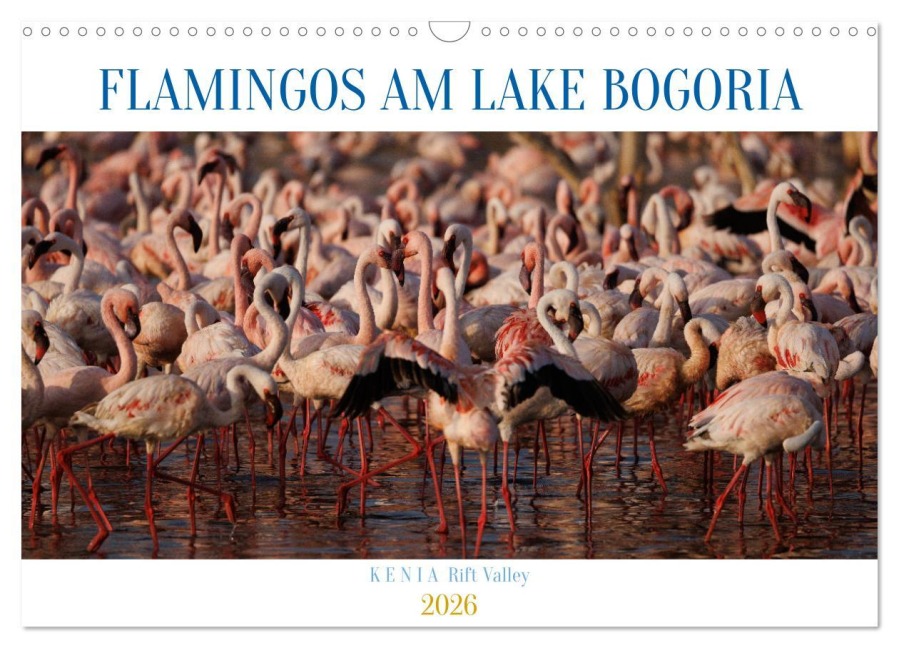 Flamingos am Lake Bogoria - Kenia (Wandkalender 2026 DIN A3 quer), CALVENDO Monatskalender - Udo Quentin