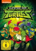 Cover-Bild zum Titel 'Aufstieg der Teenage Mutant Ninja Turtles' von 'Russ Carney, Ron Corcillo, Ian Busch, Andy Suriano, Ant Ward'