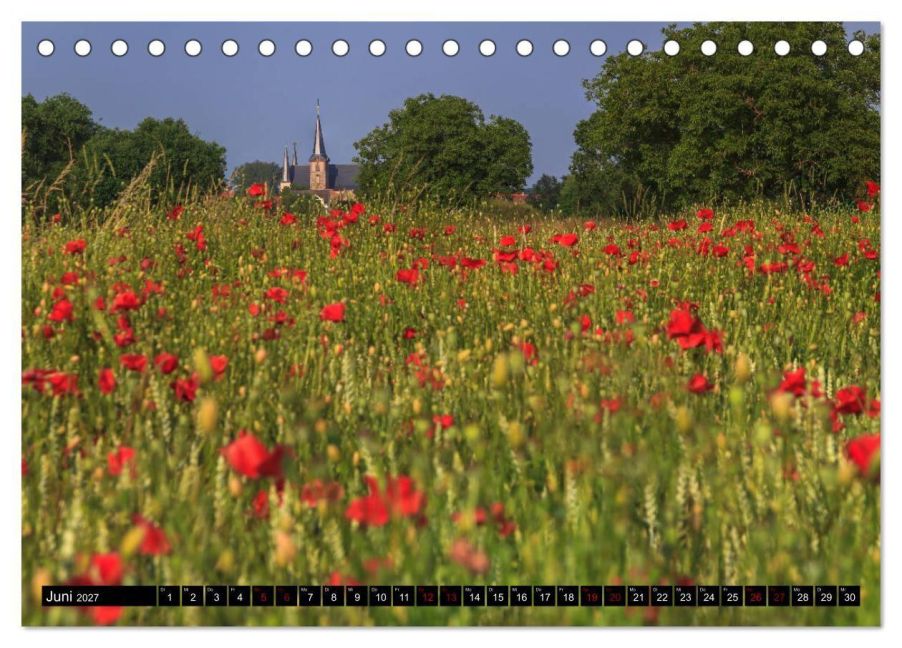 InsideView 11