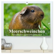 Cover-Bild zum Titel 'Meerschweinchen Niedliche Herzensbrecher (hochwertiger Premium Wandkalender 2026 DIN A2 quer), Kunstdruck in Hochglanz' von 'Elisabeth Stanzer'