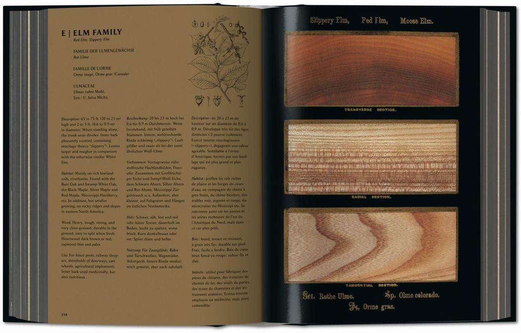 InsideView 2