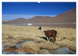 Cover-Bild zum Titel 'Bolivien (Wandkalender 2027 DIN A2 quer), CALVENDO Monatskalender' von 'Alboter'