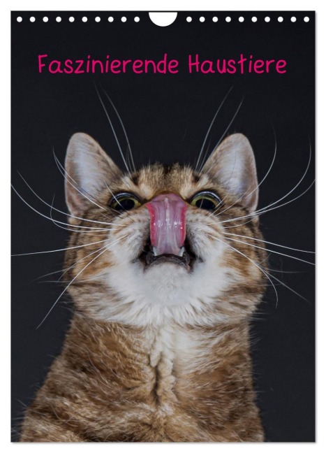 Faszinierende Haustiere (Wandkalender 2026 DIN A4 hoch), CALVENDO Monatskalender - Wiebke von der Heyde