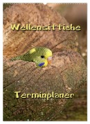 Cover-Bild zum Titel 'Wellensittiche Terminplaner (Wandkalender 2026 DIN A2 hoch), CALVENDO Monatskalender' von 'Martina Berg'