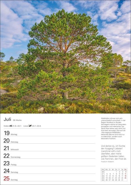 InsideView 10