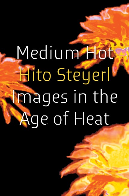 Medium Hot - Hito Steyerl