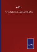 Cover-Bild zum Titel 'Grundzüge der Arzneimittellehre' von 'Carl Binz'