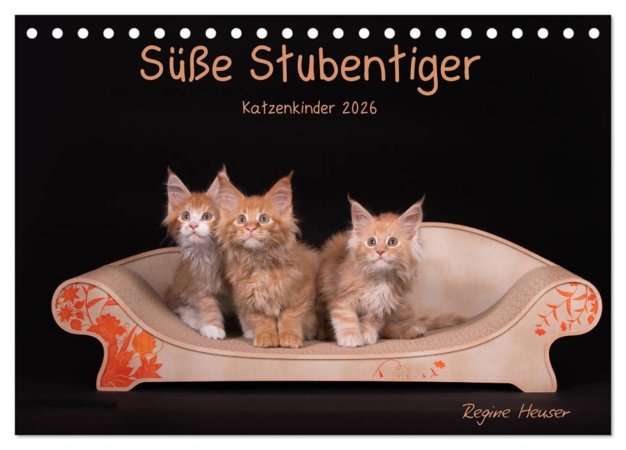 Süße Stubentiger - Katzenkinder (Tischkalender 2026 DIN A5 quer), CALVENDO Monatskalender - Regine Heuser Süße Stubentiger - Katzenkinder (Tischkalender 2026 DIN A5 quer), CALVENDO Monatskalender - Regine Heuser