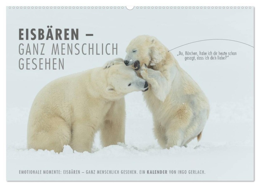 Emotionale Momente: Eisbären - ganz menschlich gesehen. (Wandkalender 2026 DIN A2 quer), CALVENDO Monatskalender - Ingo Gerlach