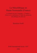 Cover-Bild zum Titel 'Le Mésolithique en Haute-Normandie (France)' von 'Bénédicte Souffi'
