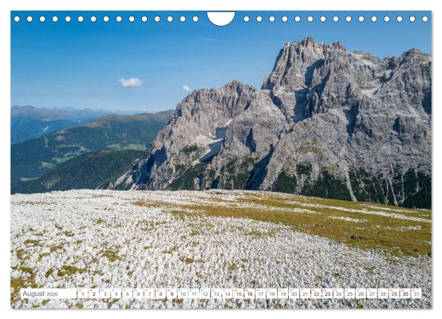 InsideView 13