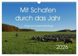 Cover-Bild zum Titel 'Mit Schafen durch das Jahr (Wandkalender 2026 DIN A3 quer), CALVENDO Monatskalender' von 'CoKeDi-Photographie Kelle-Dingel'